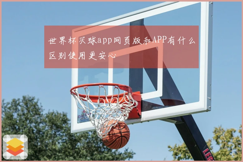 世界杯买球app网页版和APP有什么区别使用更安心