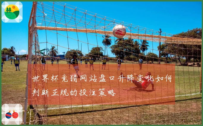 世界杯竞猜网站盘口升降变化如何判断正规的投注策略